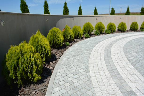 Best Residential Paver Driveway  in Bostonia, CA